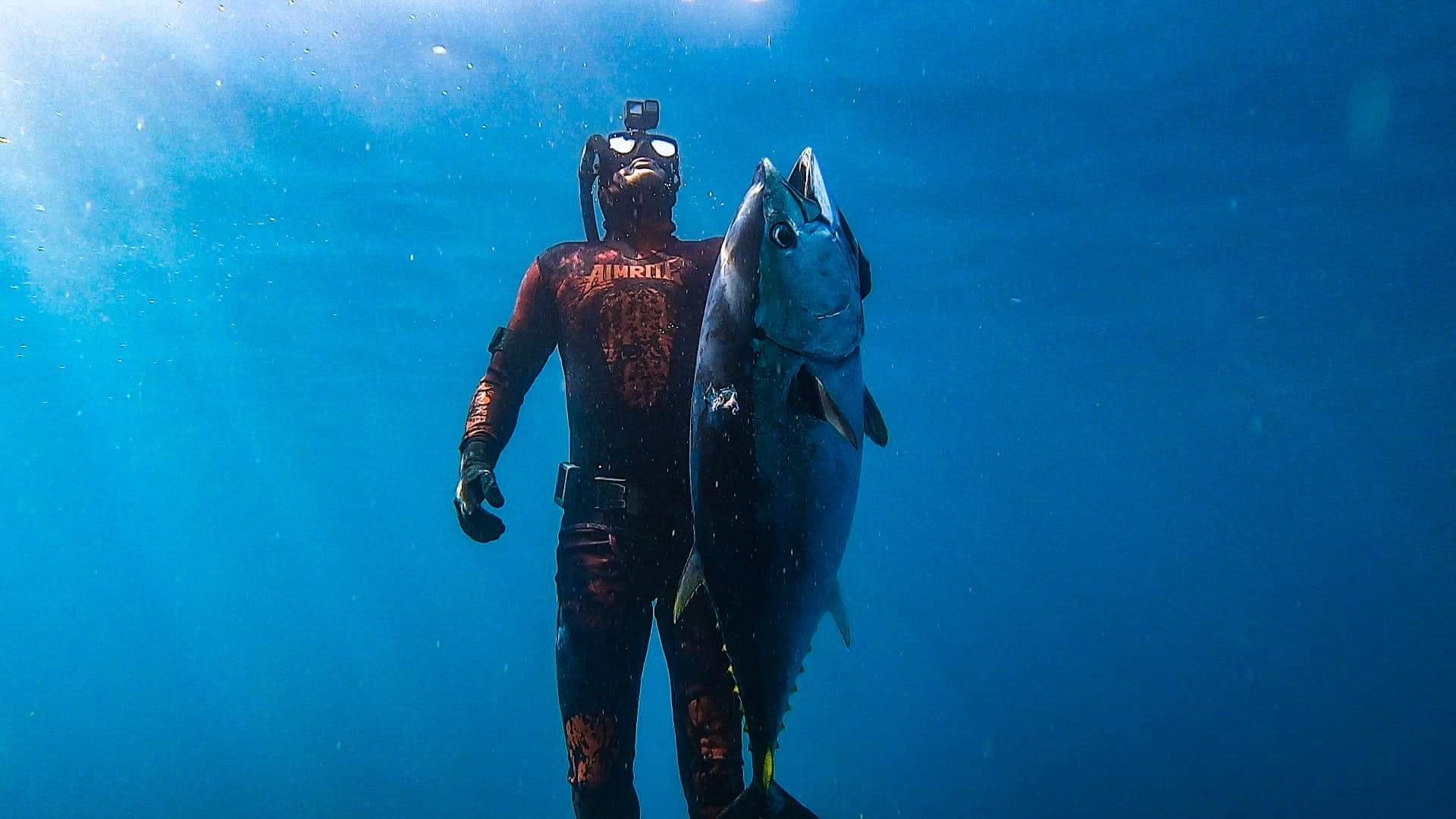 a man and a tuna ascend to the surface