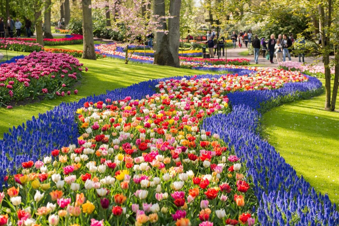 Day Trip to Keukenhof Amsterdam