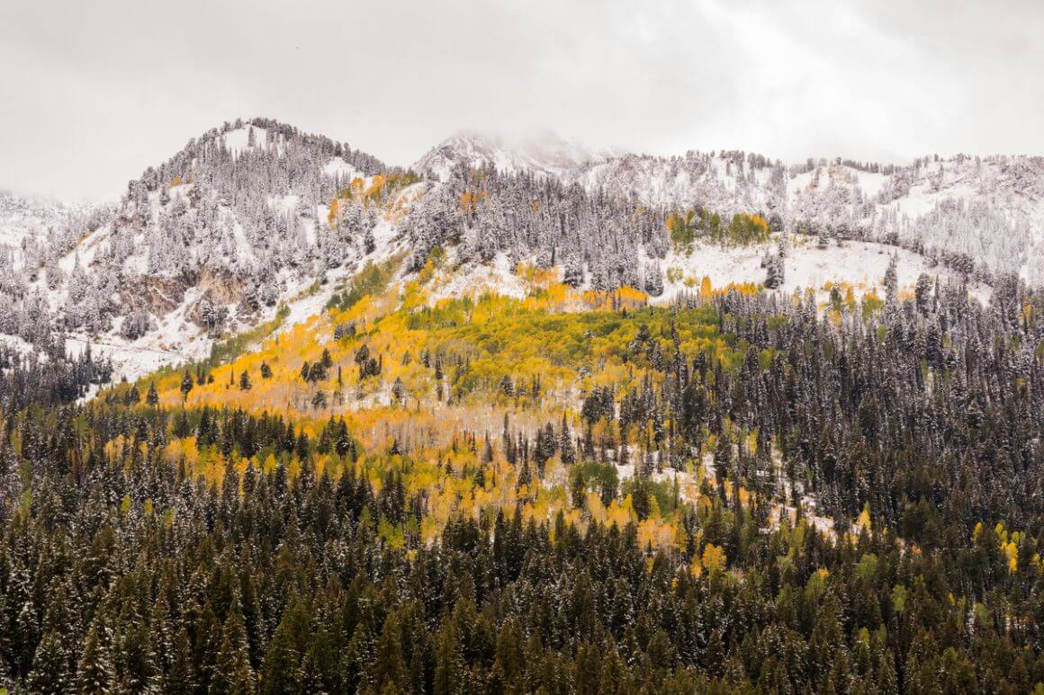 Empire Pass Utah