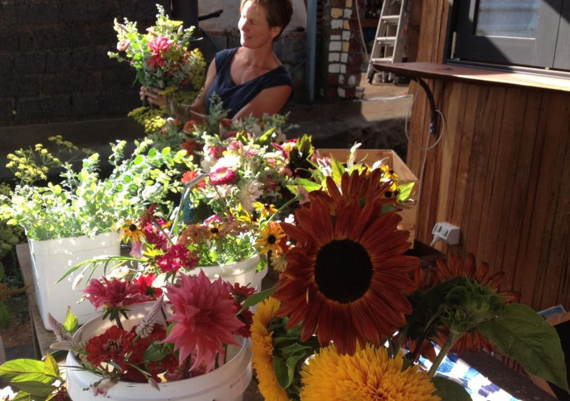 Flower Farm on the Sapphire Coast Australia