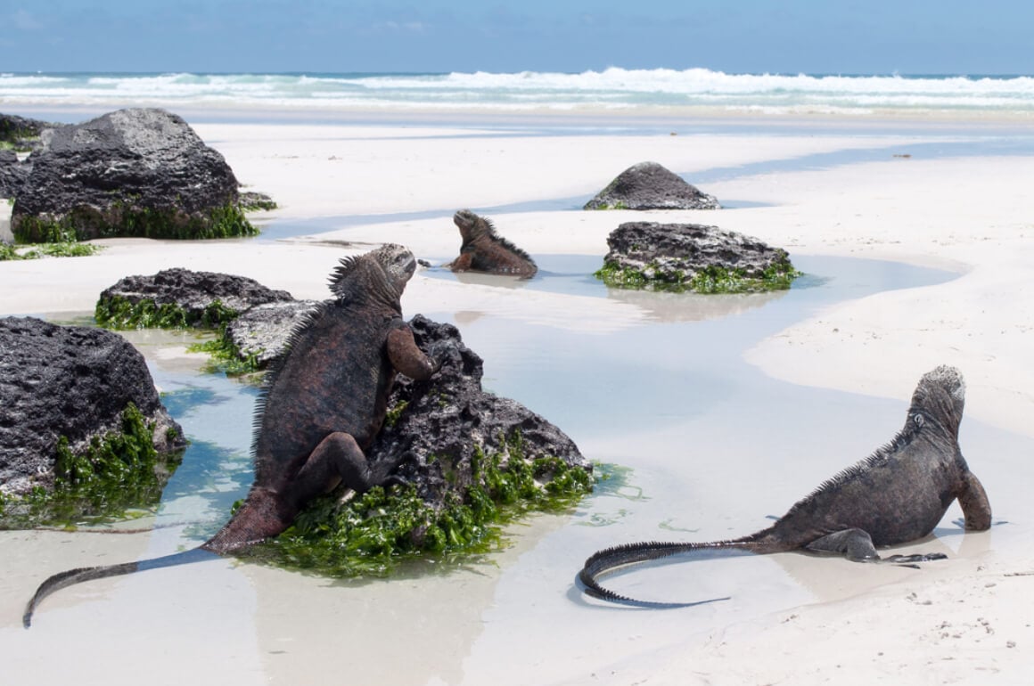 Galapagos Islands in March