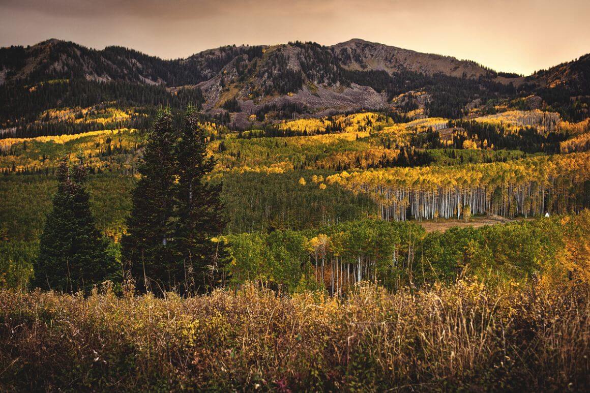 Guardsman Pass Park City