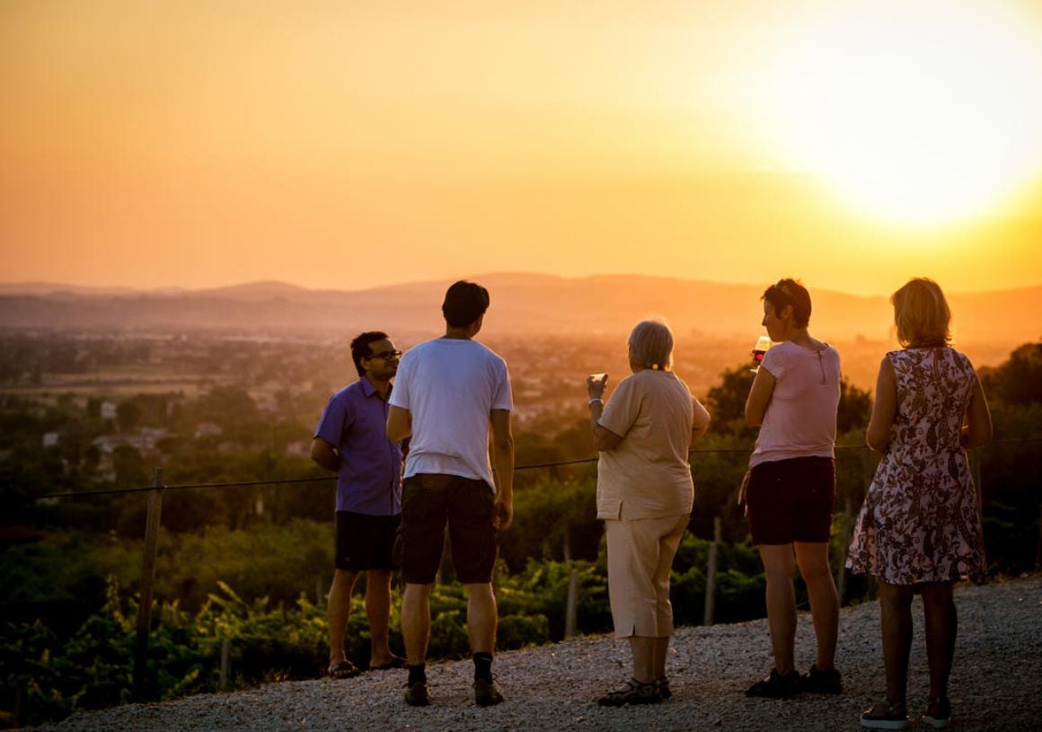 Help in an Organic Winery Italy