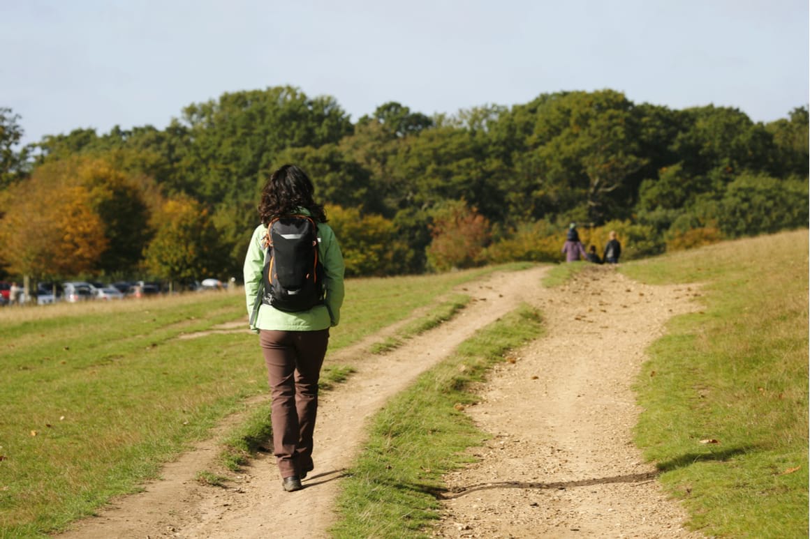 Hiking in Richmond Park London