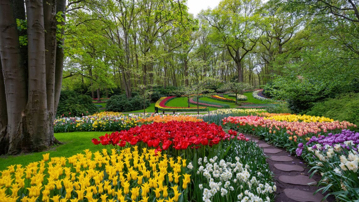 Keukenhof Garden Netherlands