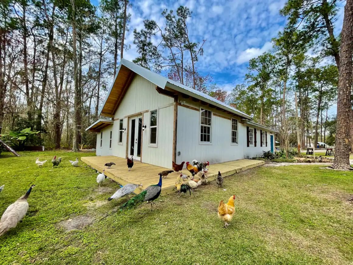 Rustic 2 Bed Farmhouse vacation rental Tampa