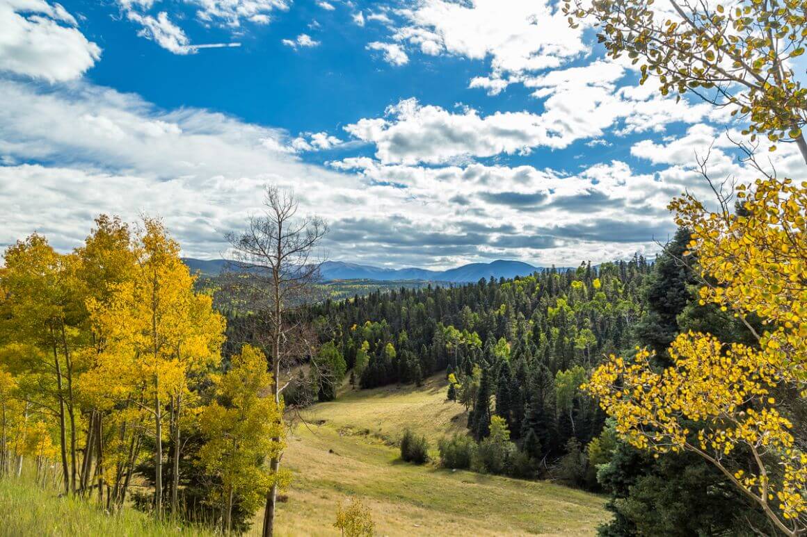 Wheeler Peak Taos