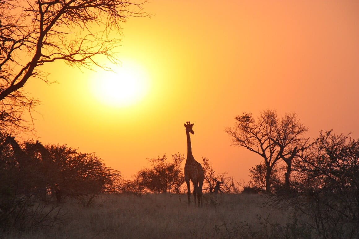 Zambia a Giugno