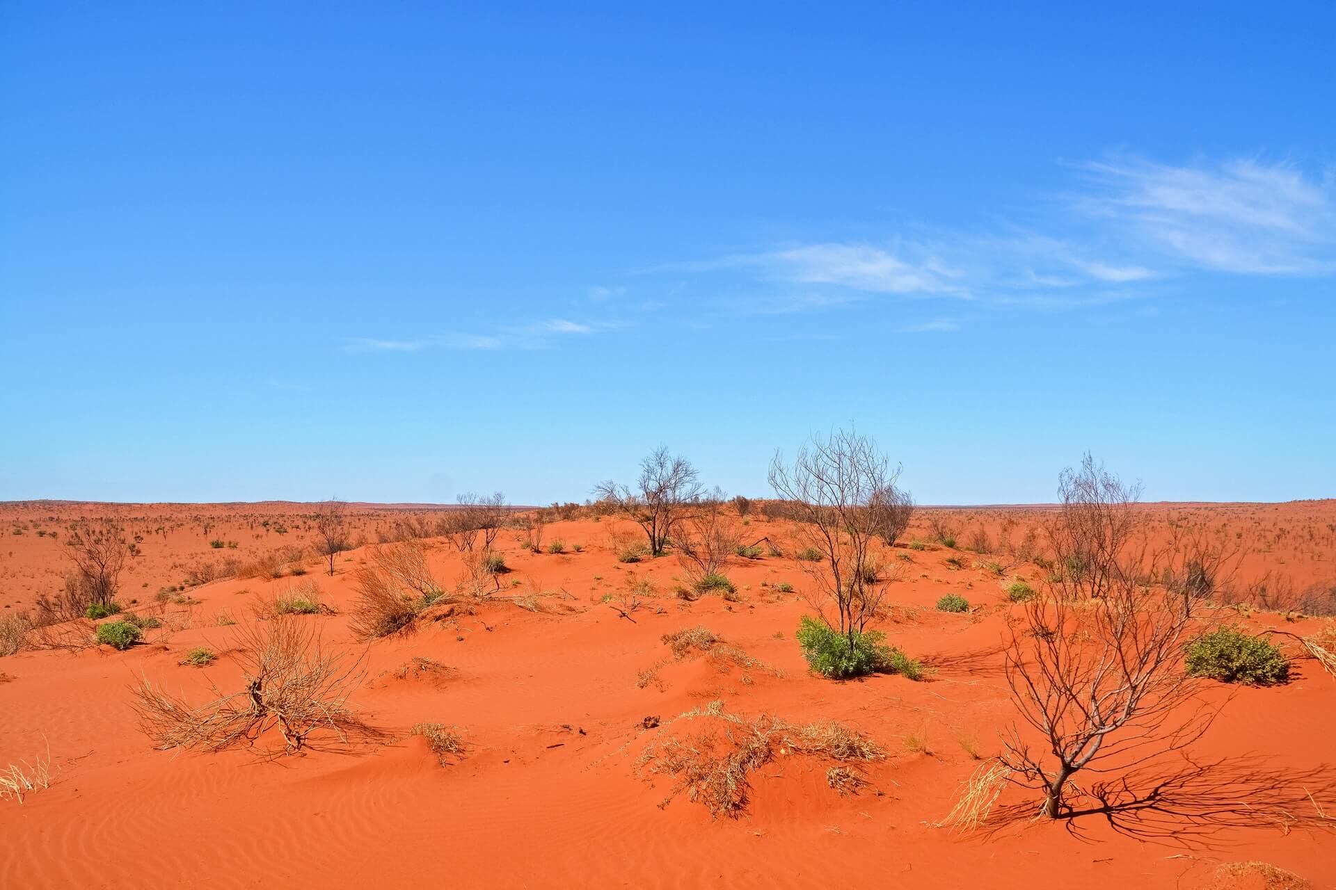 Australian Desert