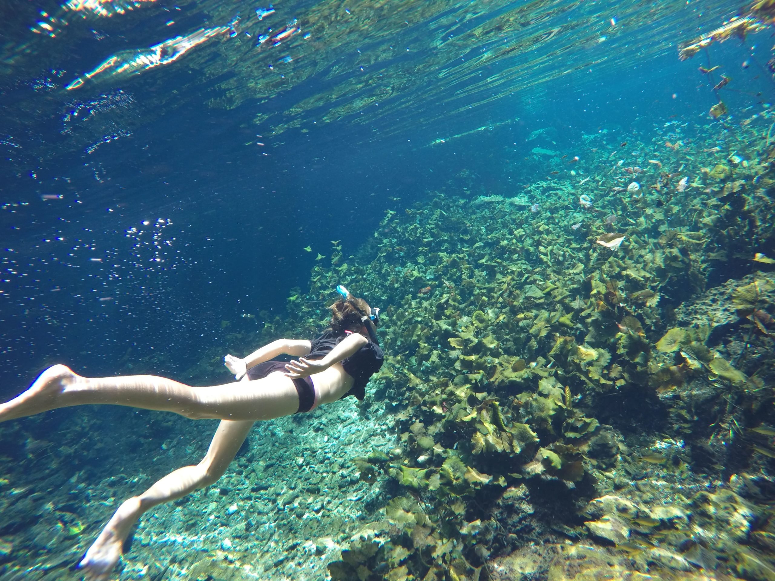 A girl swims in clear cold waters of a mexican cenote.