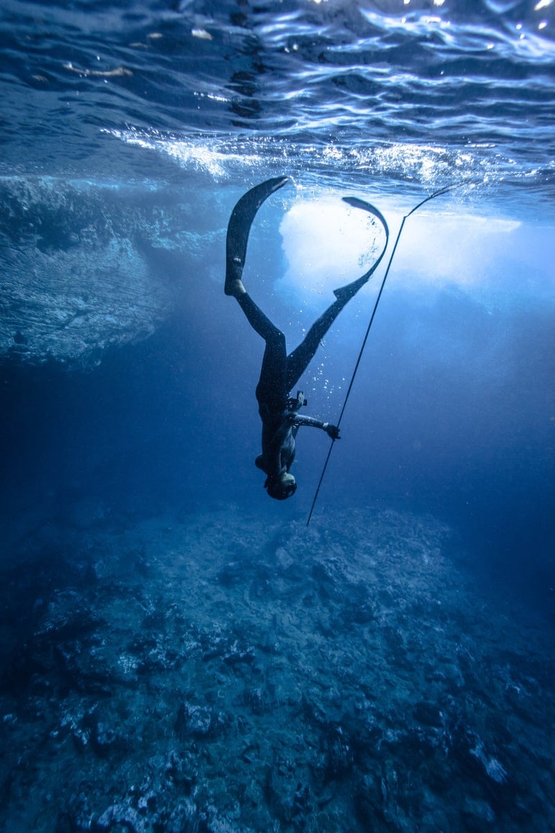 A diver descends from the surface with a pole spear in hand. 