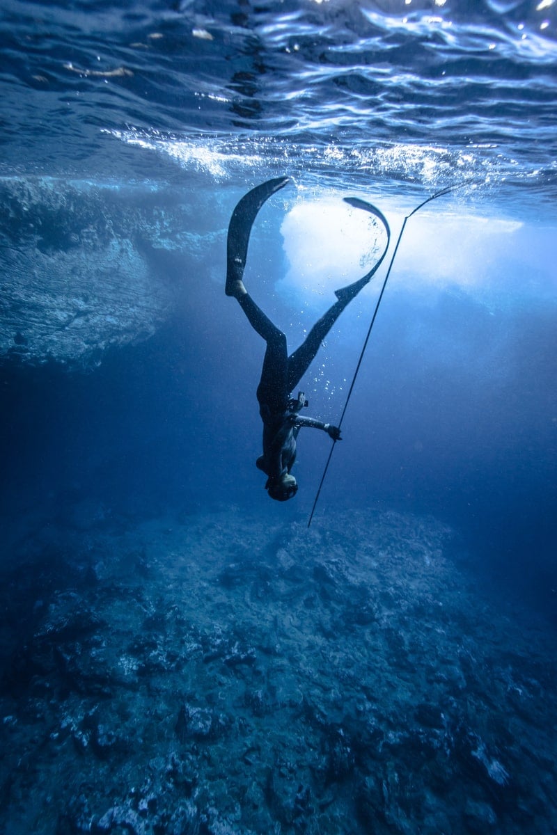 A diver descends from the surface with a pole spear in hand.