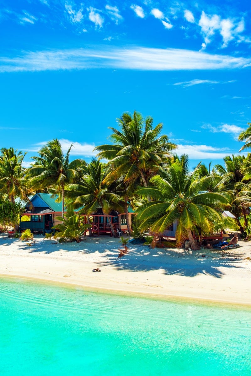 A tropical beach with palm trees and crystal blue water in the cook islands