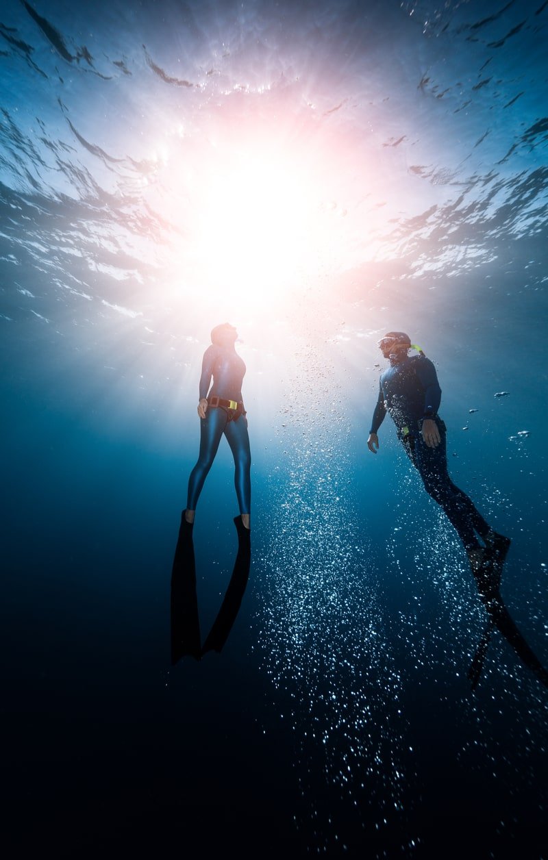 Two free divers ascend to the surface of the ocean. 