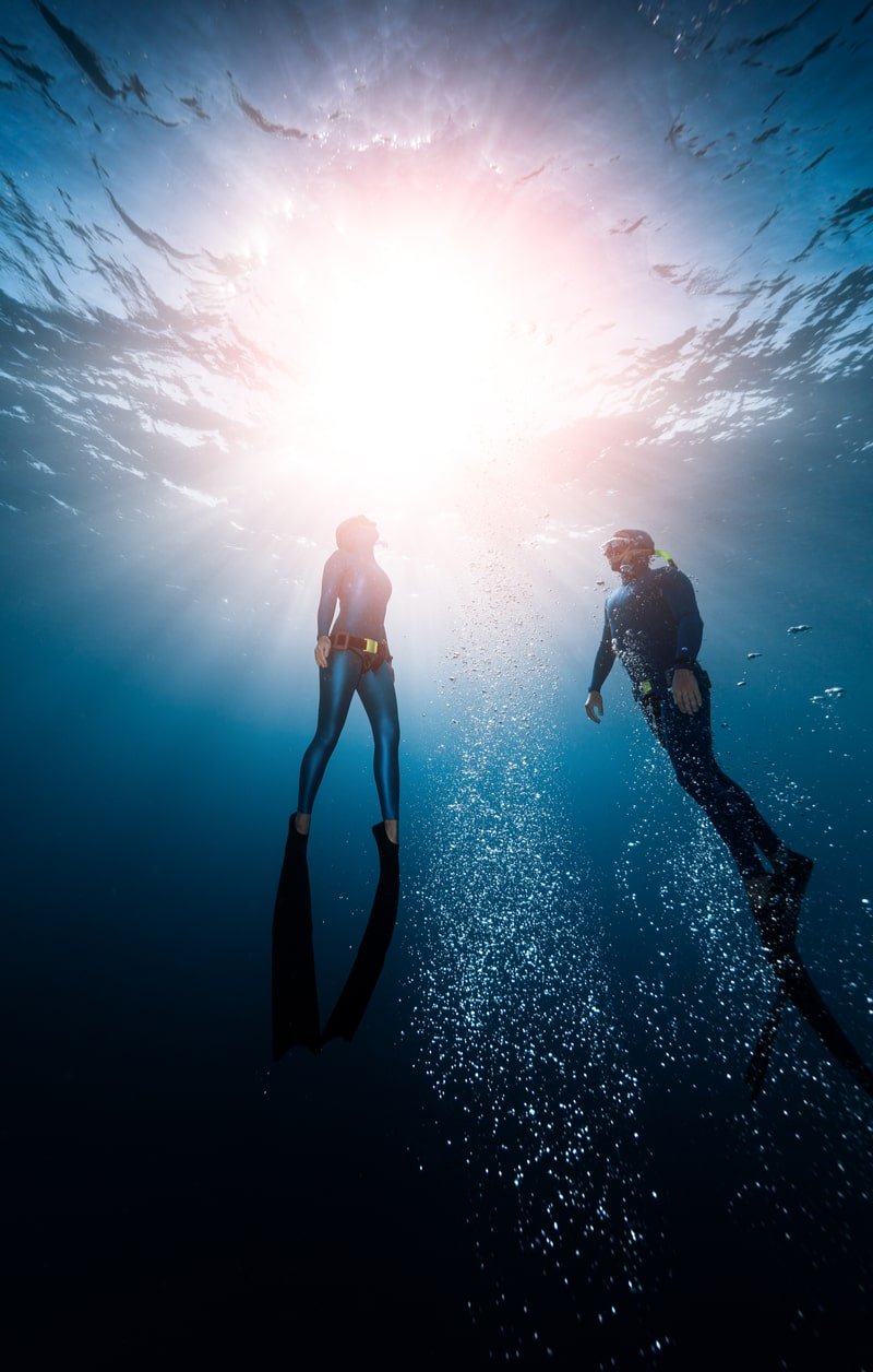 Two free divers ascend to the surface of the ocean.