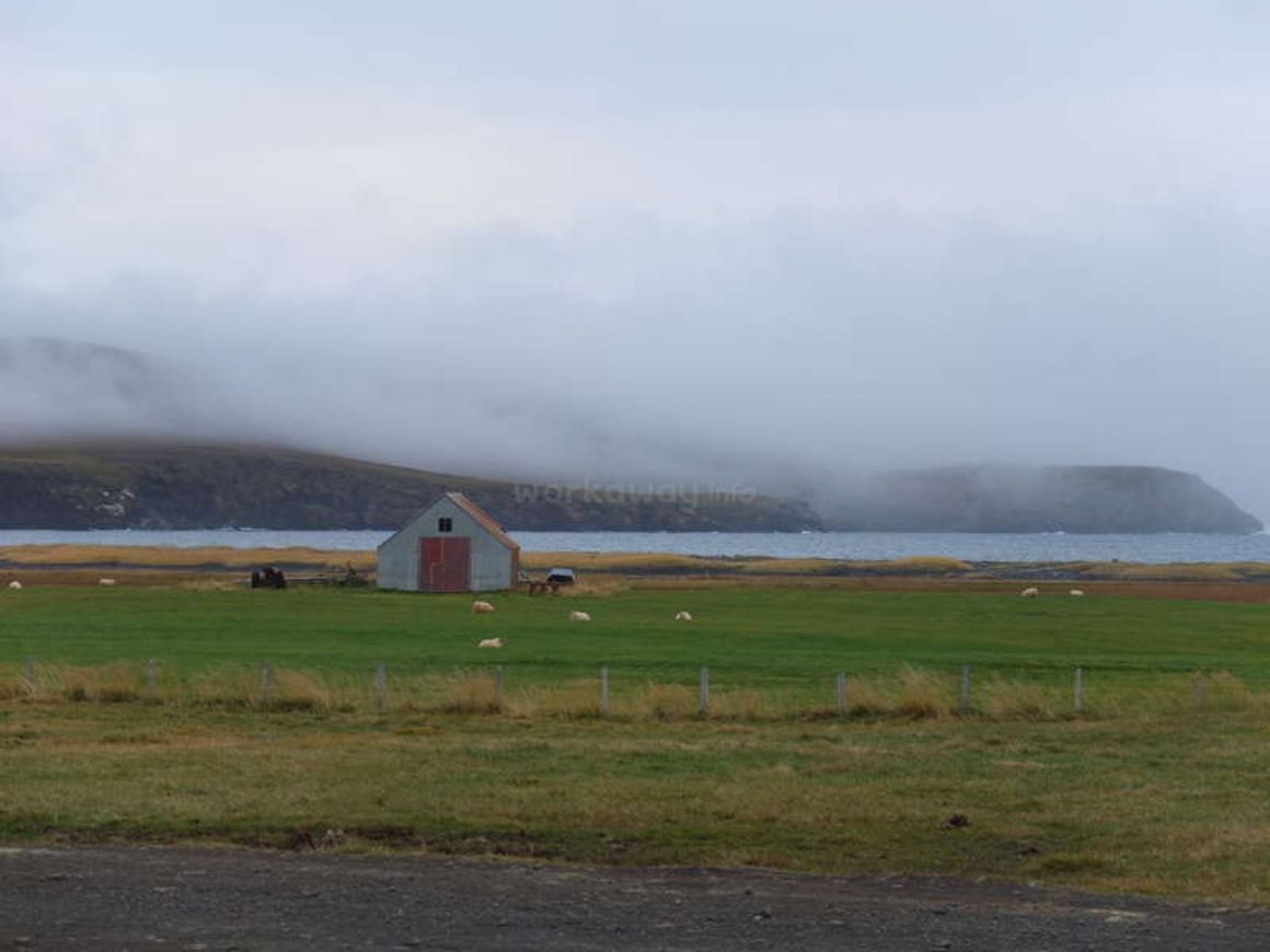 Help on a Sheep Farm Iceland