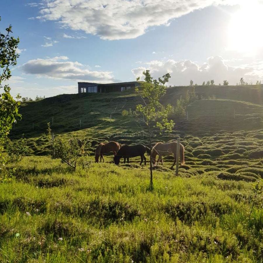 House Help in a Rural Home Iceland