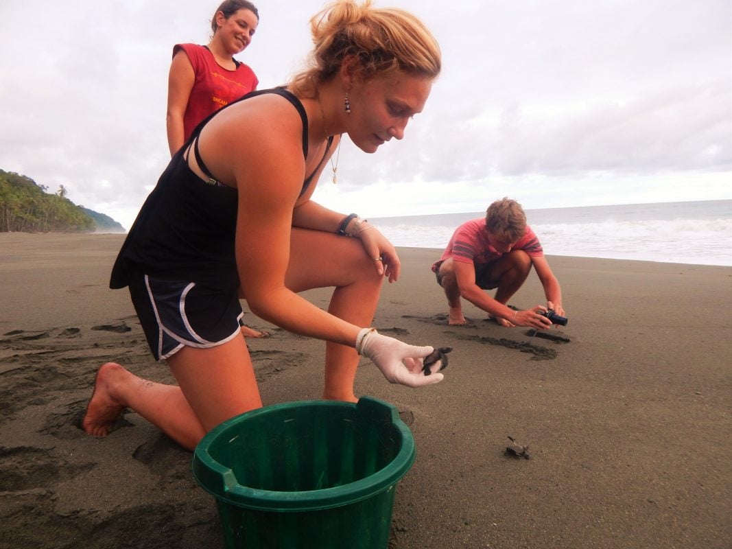 Osa Conservation Costa Rica