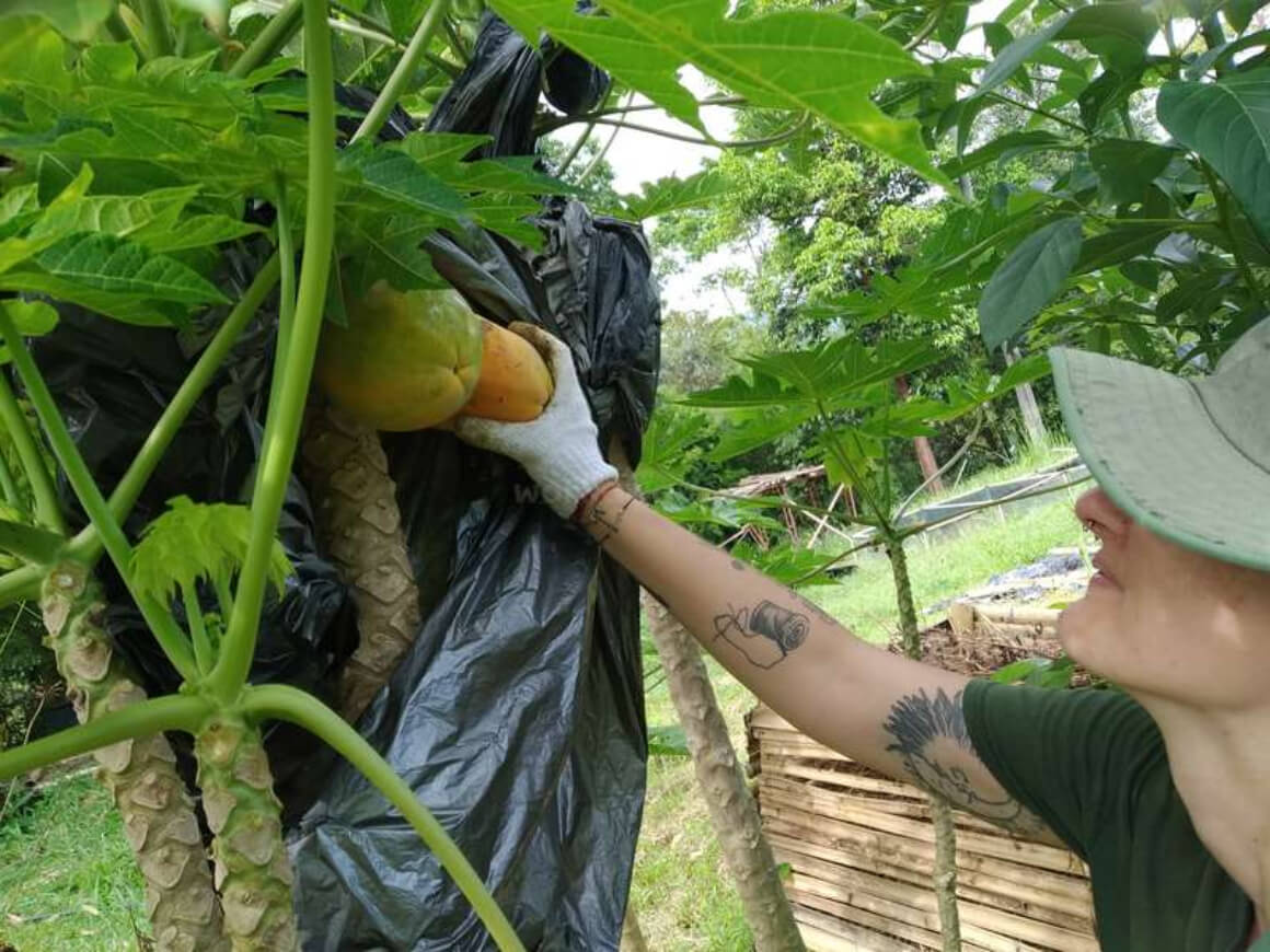 Volunteer on a Self-sustaining Eco Farm