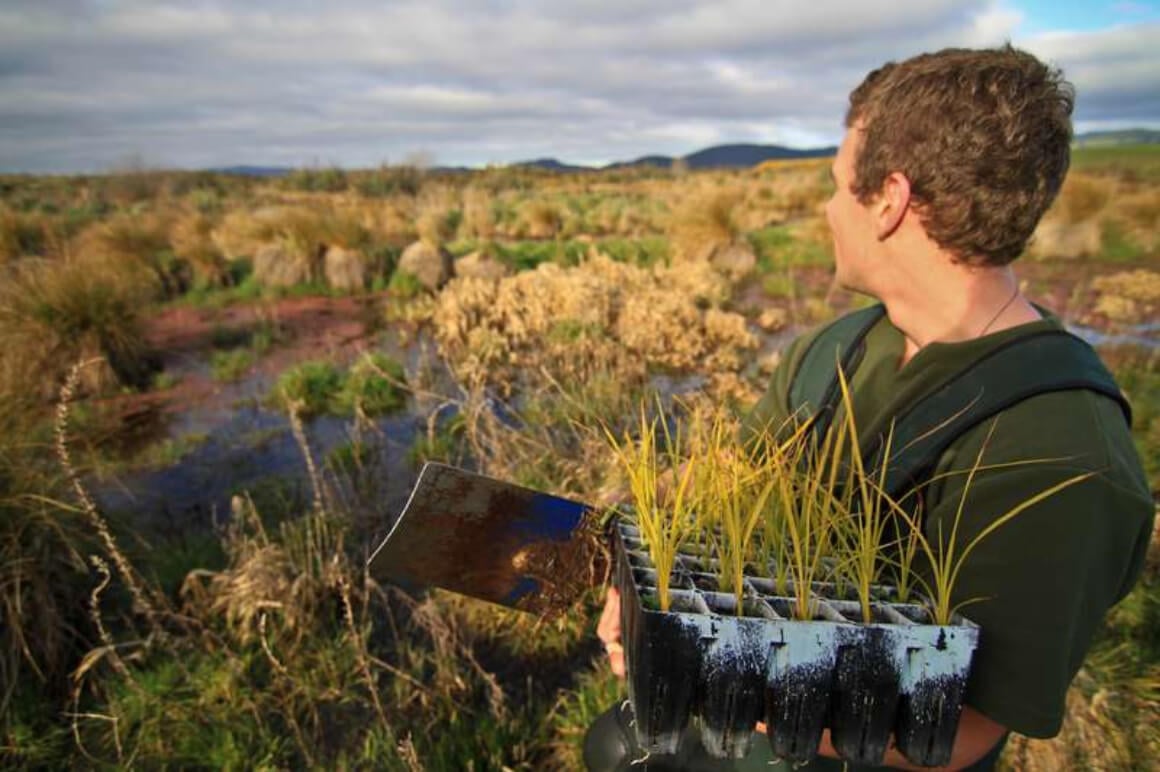 Wetland Conservation Volunteer