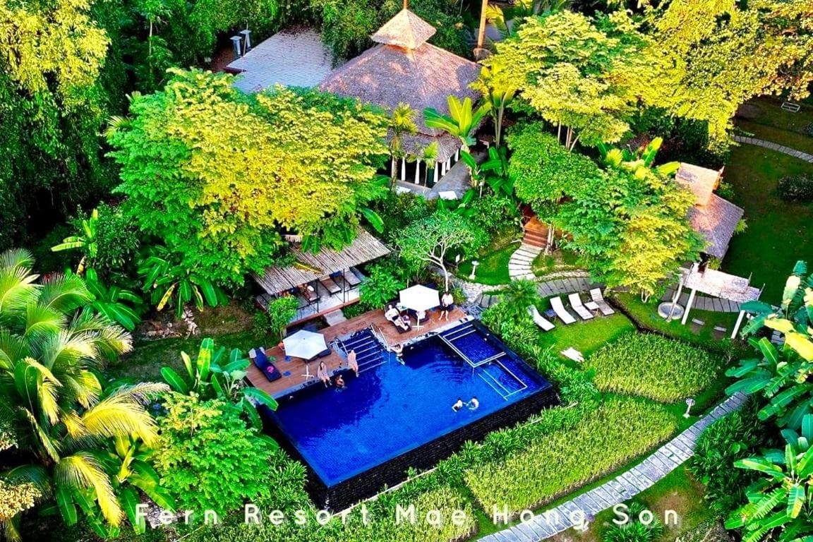 Fern Resort