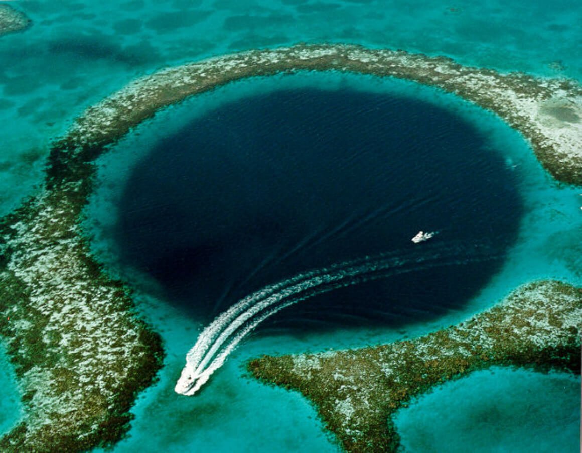 freediving 101 belize blue hole