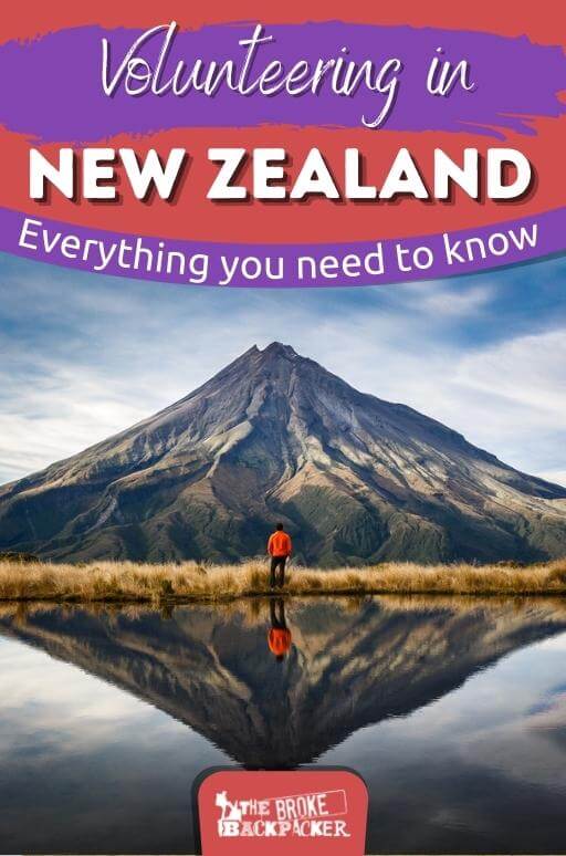 Biggest and BEST Guide to Volunteering in New Zealand (2024)
