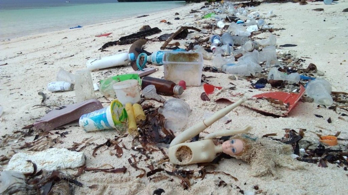 Beach and Ocean Clean Up