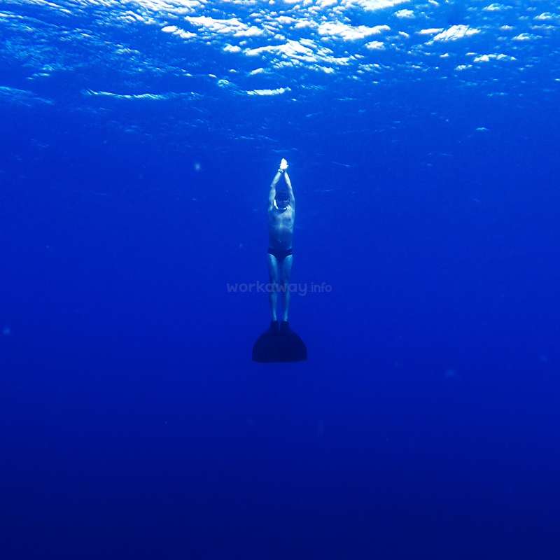 Freediving in Panglao
