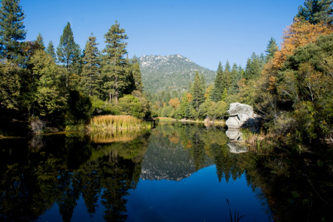 Lily Creek, Idyllwild