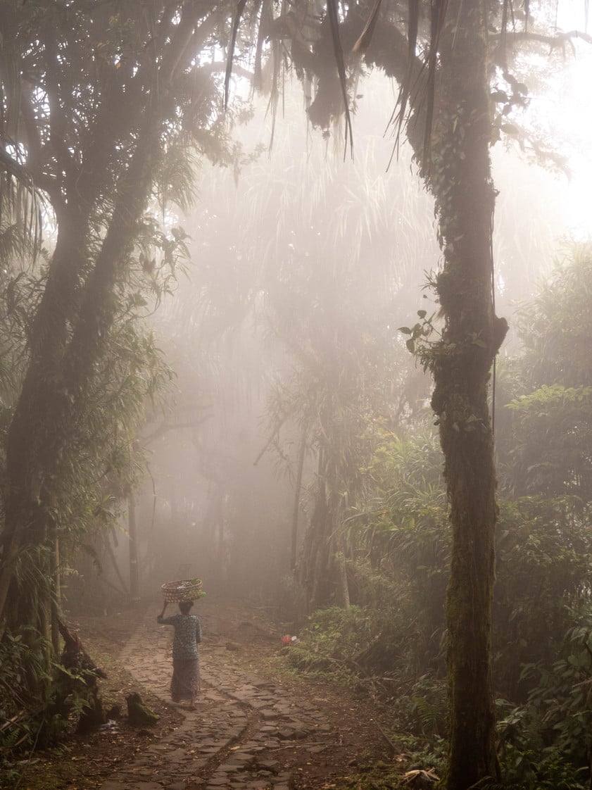 a balinese woman walking on a path in a misty forest carryign a basket on her head.