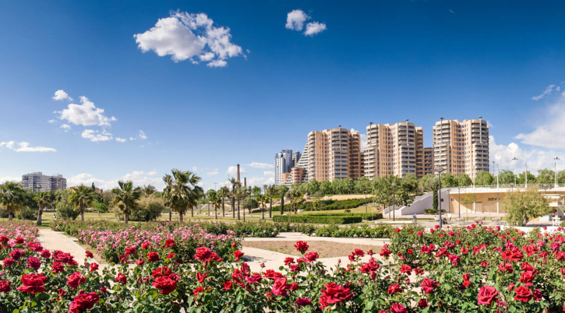 Parque Jardin del Turia in Valencia