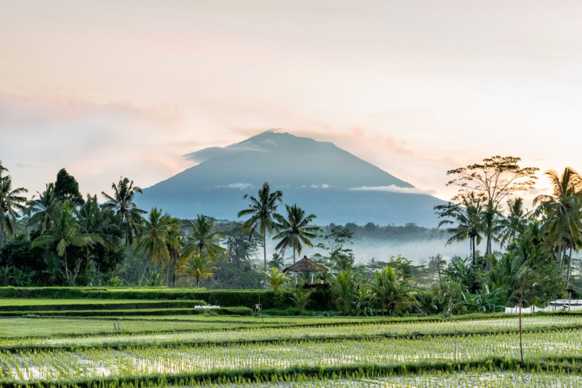 Mount Agung rising above rice fields at sunrise