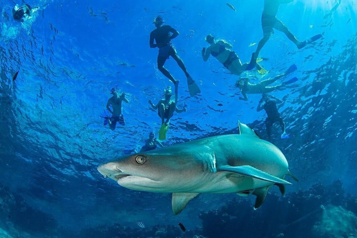 Explore the Yasawa Islands