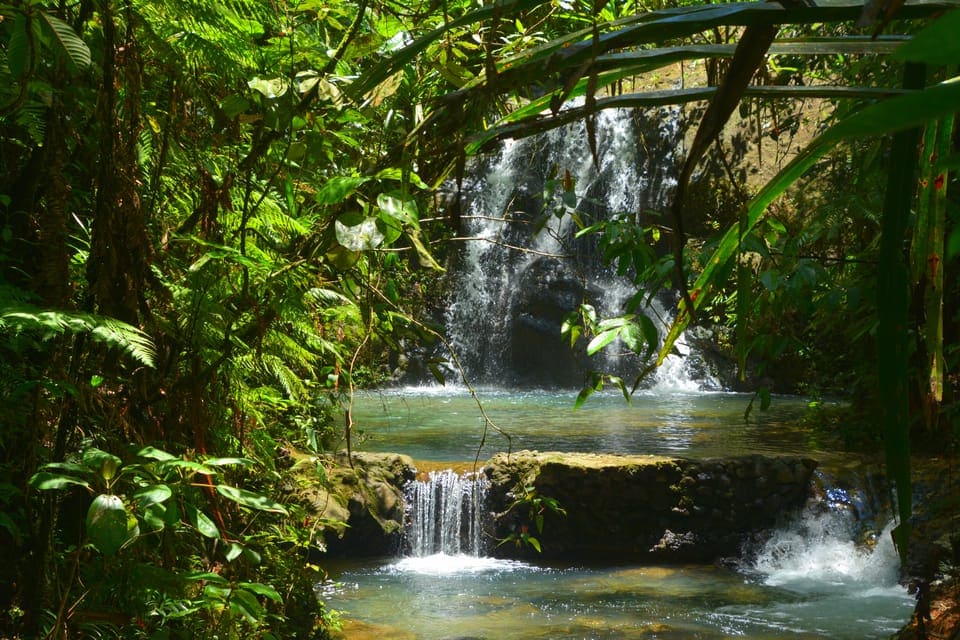 Hike Colo-i-Suva Forest Park