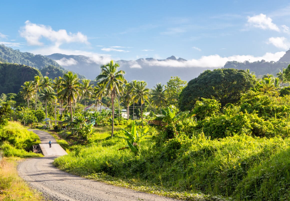 ovalau village palm trees bp fiji