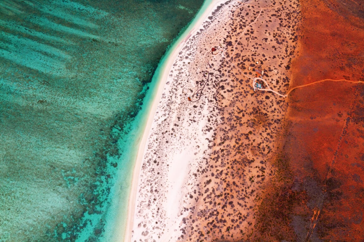 snorkelling 101 ningaloo western australia