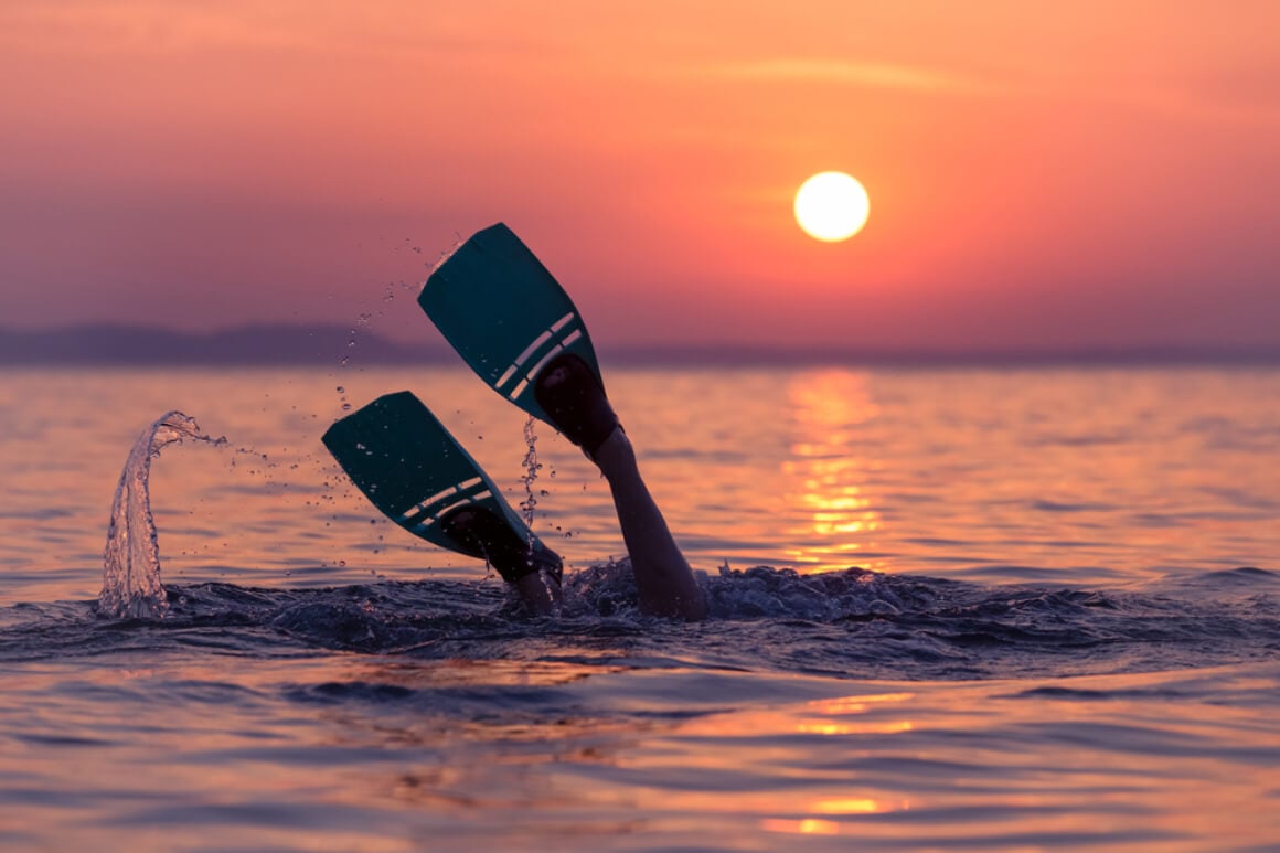 snorkelling 101 sunset flippers