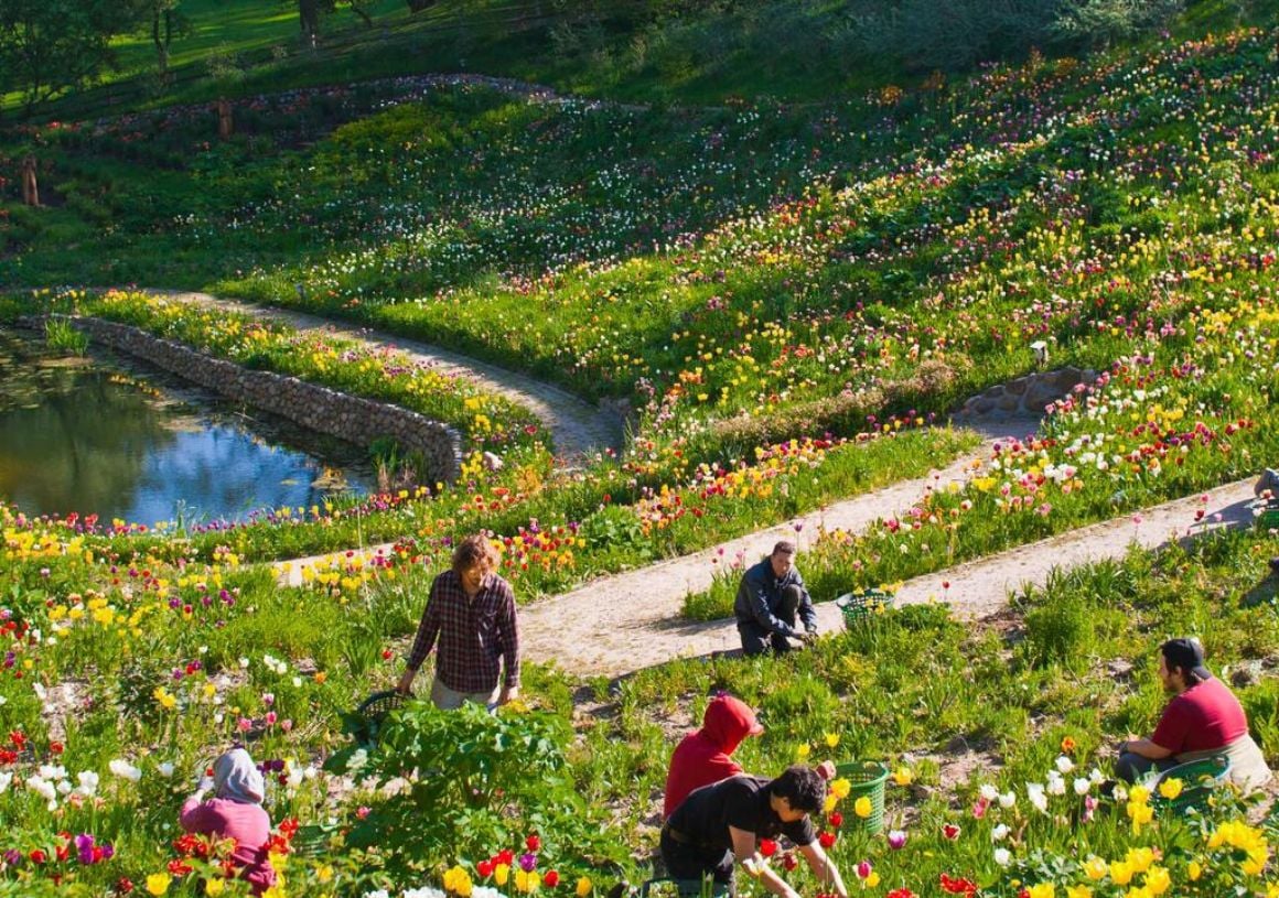 Community Living on Organic Farm Germany