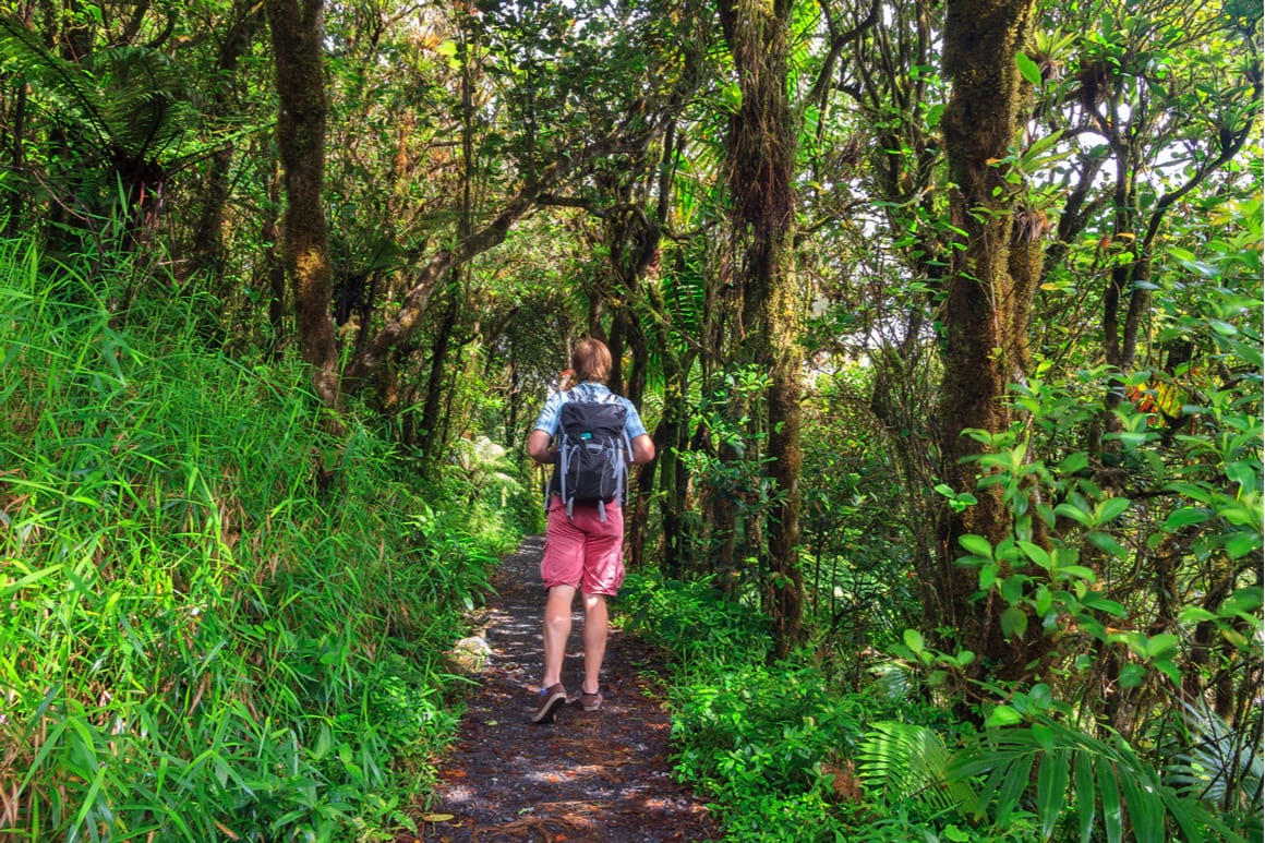 Puerto Rico hiking