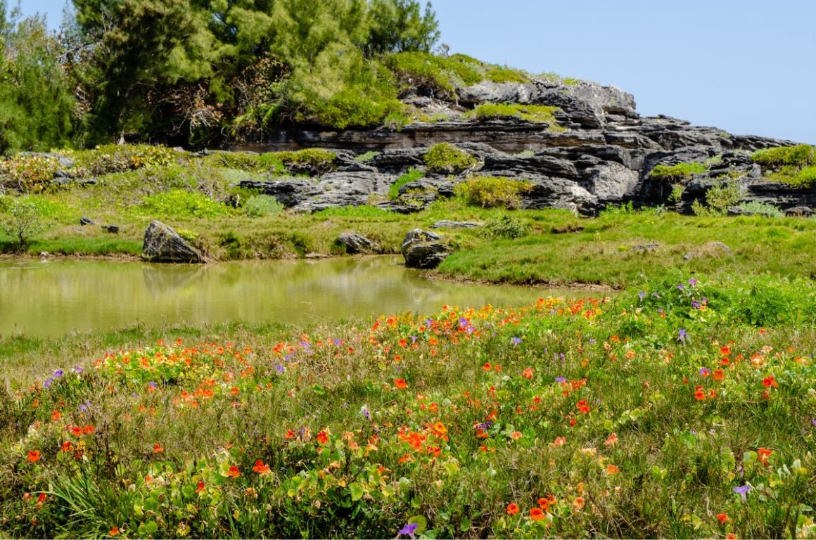 Spittal Pond Bermuda