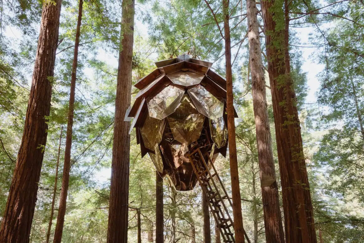 The Pinecone Treehouse