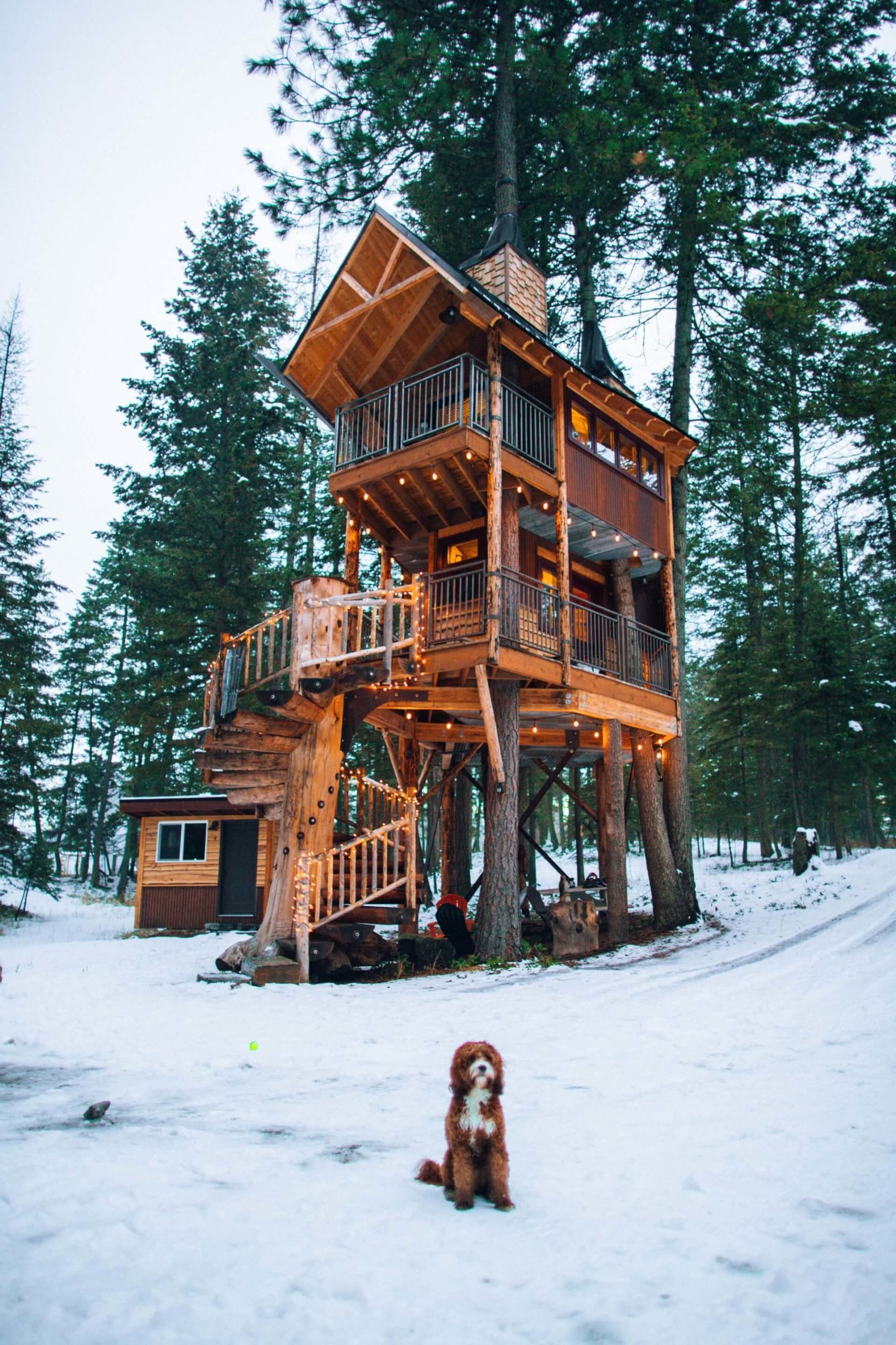 reddish brown wood treethouse in snow covered forest woth reddish brown dog in center of the frame