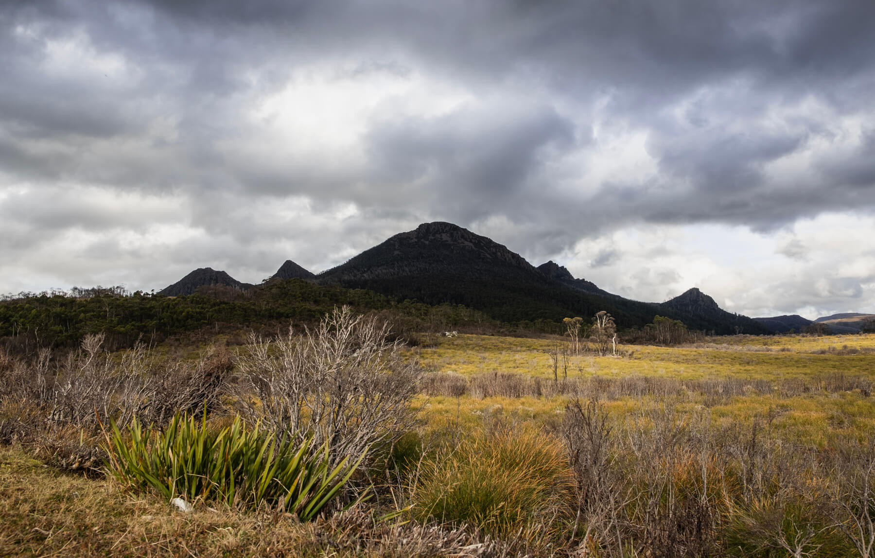 tasmania