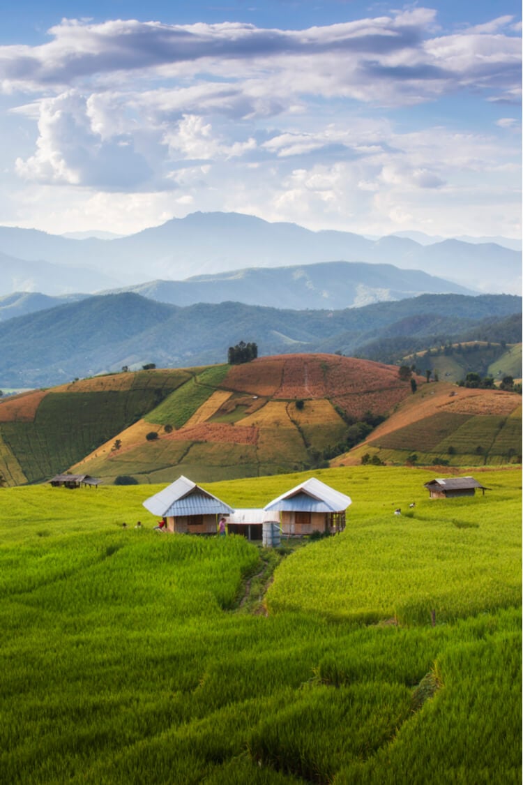 serene wooden homes in rice paddies thailand homestays