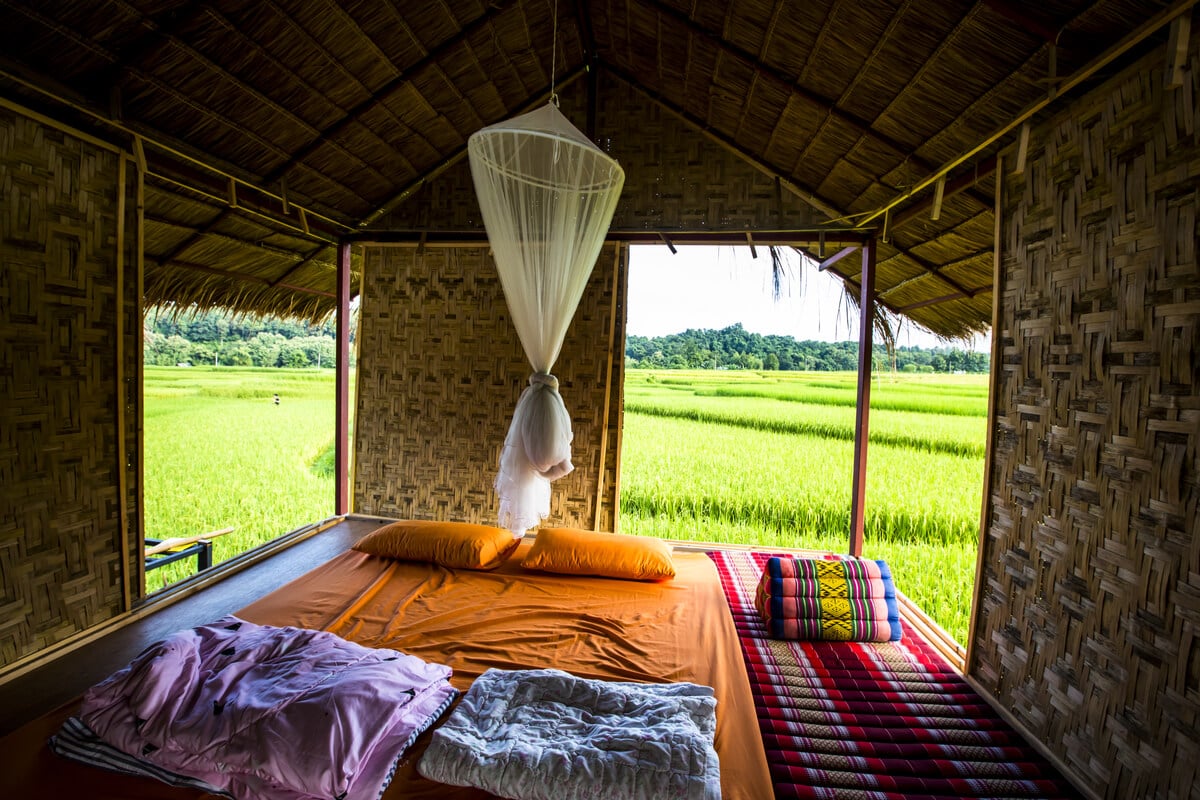 bamboo accomodation in a rice field what is a homestay