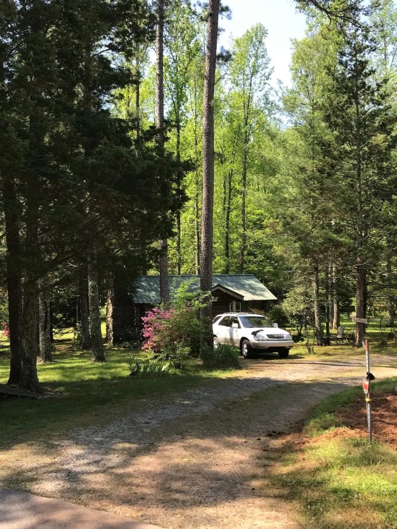 The Pine Cabin, Georgia