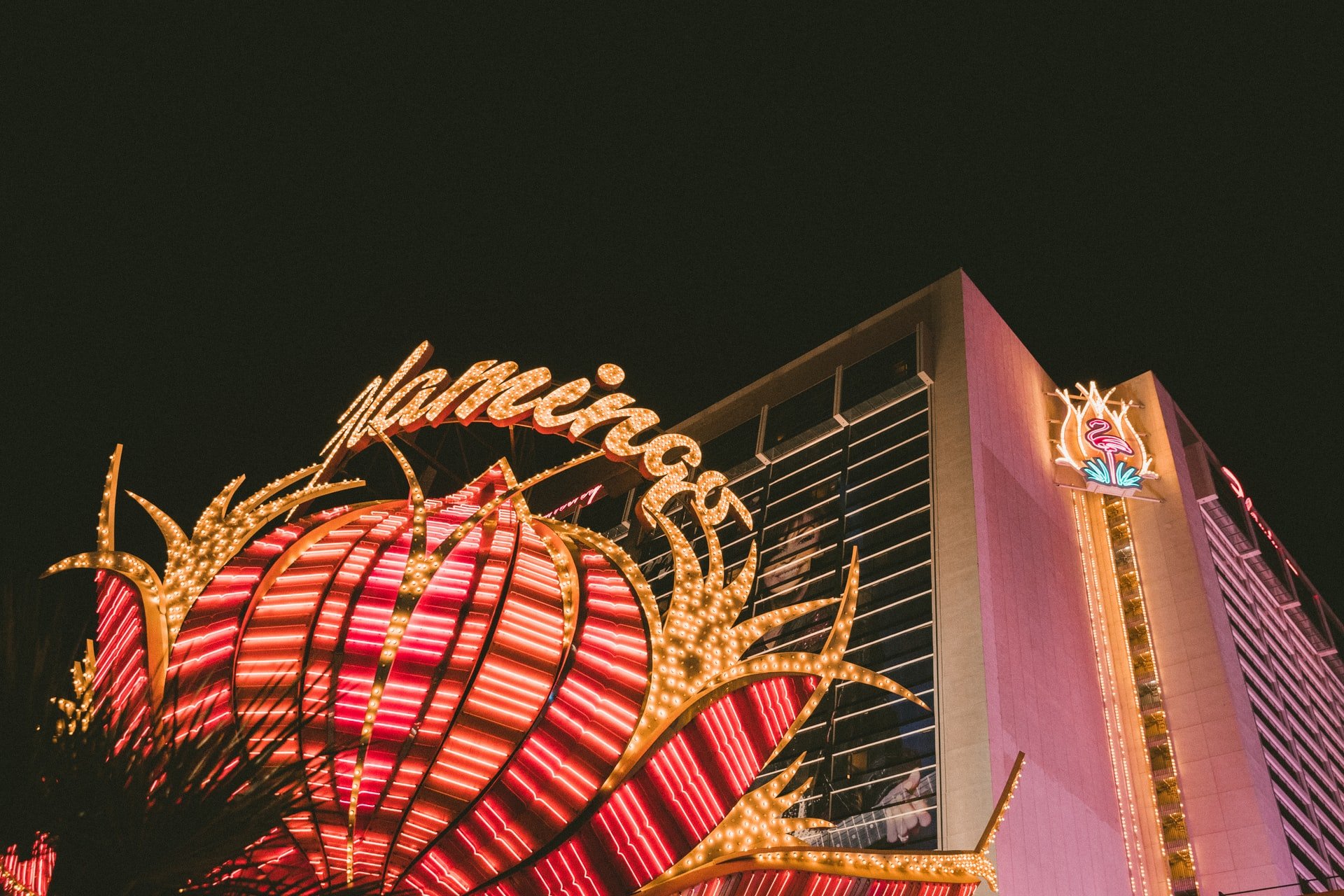 bright pink flower and glowing sign that says flamingo in gold letters in las vegas