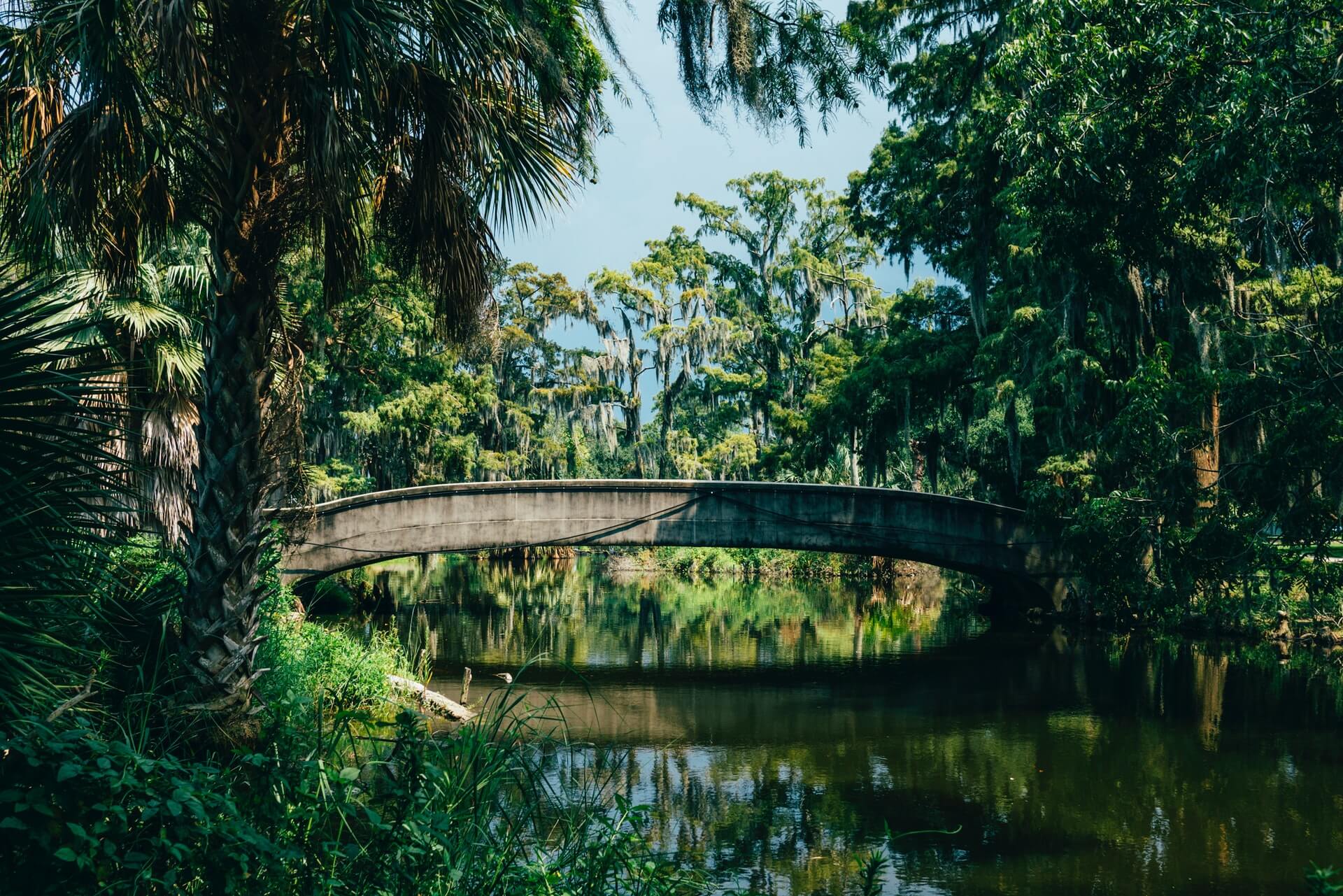 City Park is reason enough to come to New Orleans!