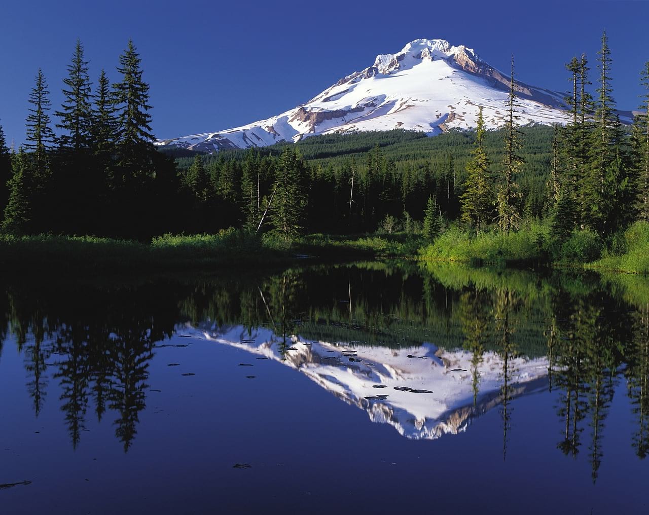 Cabins in Oregon